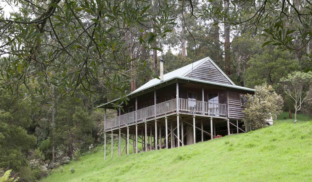 Tall Trees Eco Retreat - Blackwood Cottage Аполло-Бей Экстерьер фото