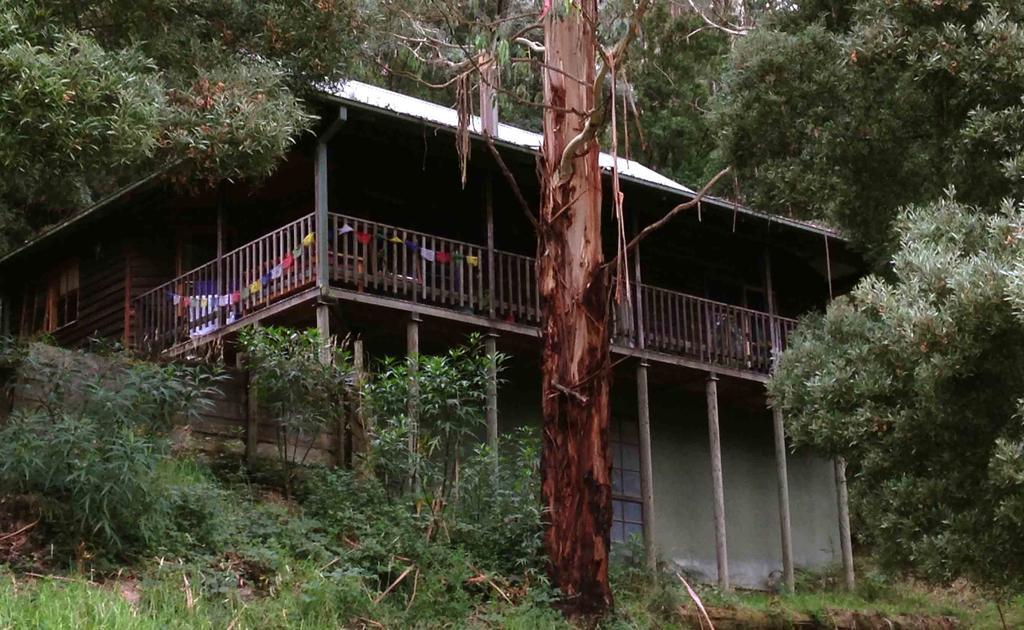 Tall Trees Eco Retreat - Blackwood Cottage Аполло-Бей Экстерьер фото